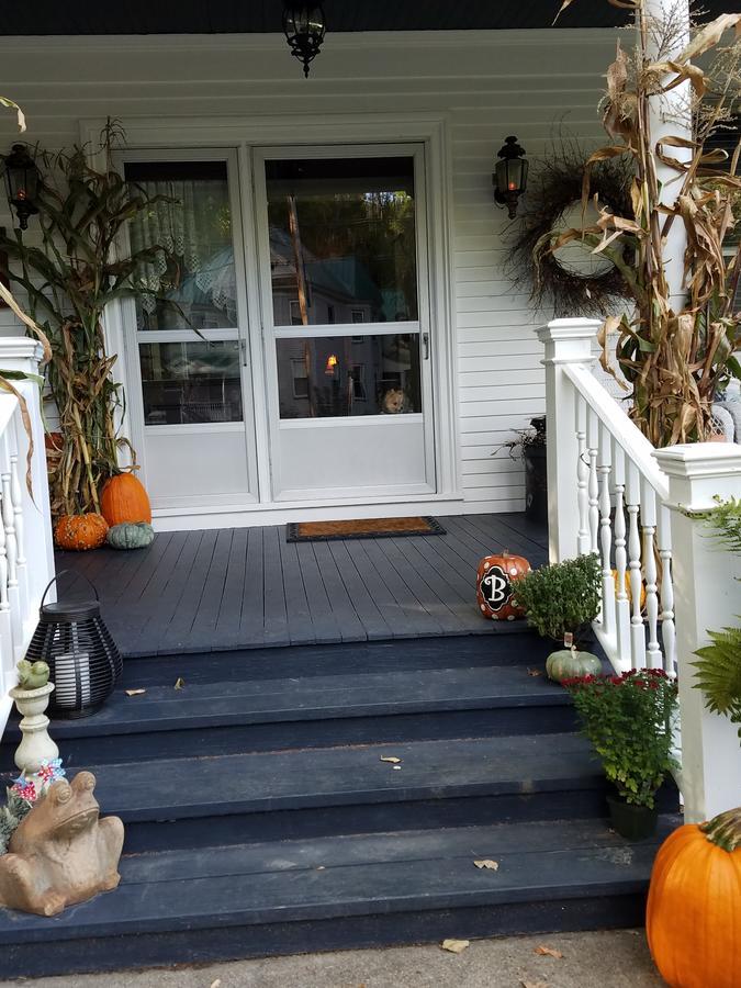 Bed and Breakfast The Perkins House Cornish Екстер'єр фото